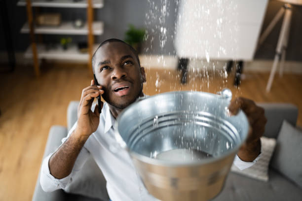 Best Residential water damage restoration  in St Joseph, IL