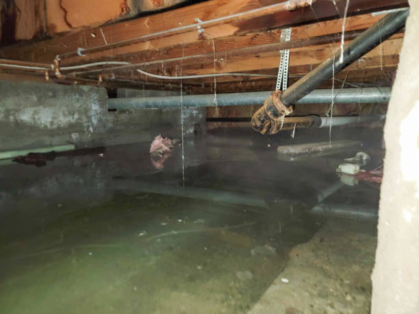 Best Flooded house restoration  in St Joseph, IL