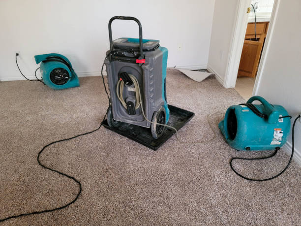 Best 24-hour water damage restoration  in St Joseph, IL