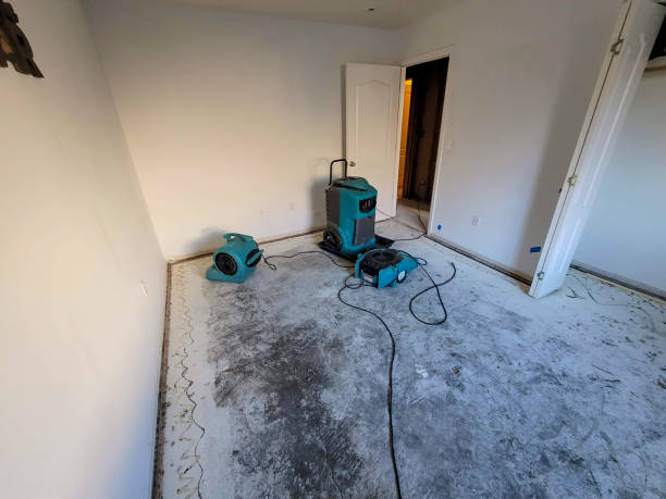 Best Basement water damage restoration  in St Joseph, IL
