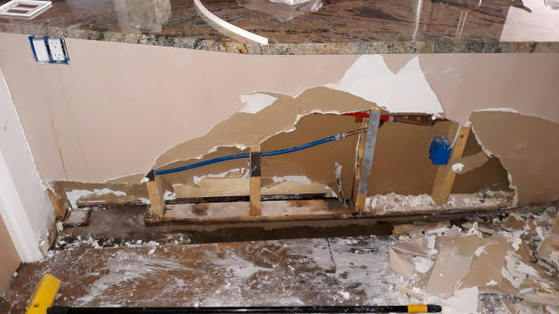 Best Emergency water damage restoration  in St Joseph, IL