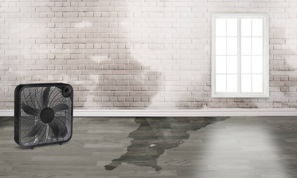  St Joseph, IL Water damage restoration Pros